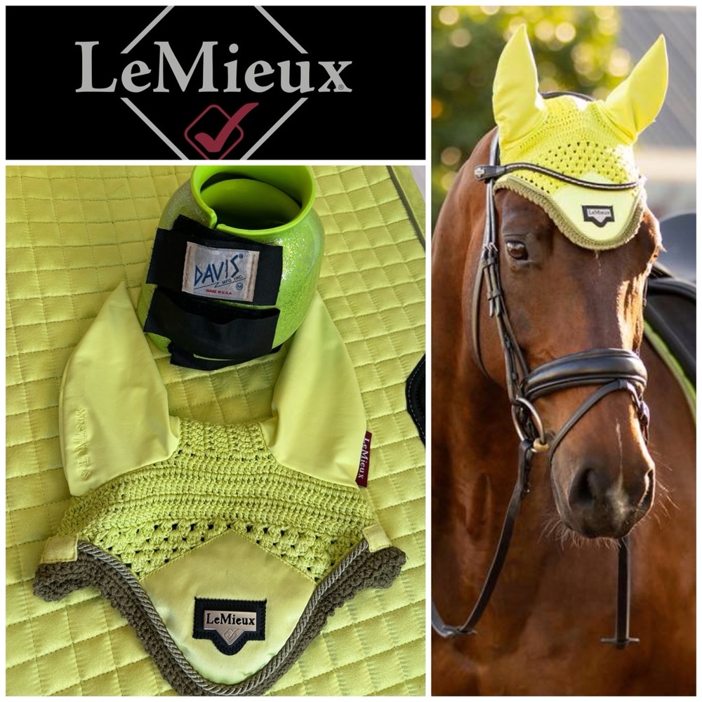 Lemieux loire kiwi green 🥝 med sized horse ear bonnet & davis overreach boots